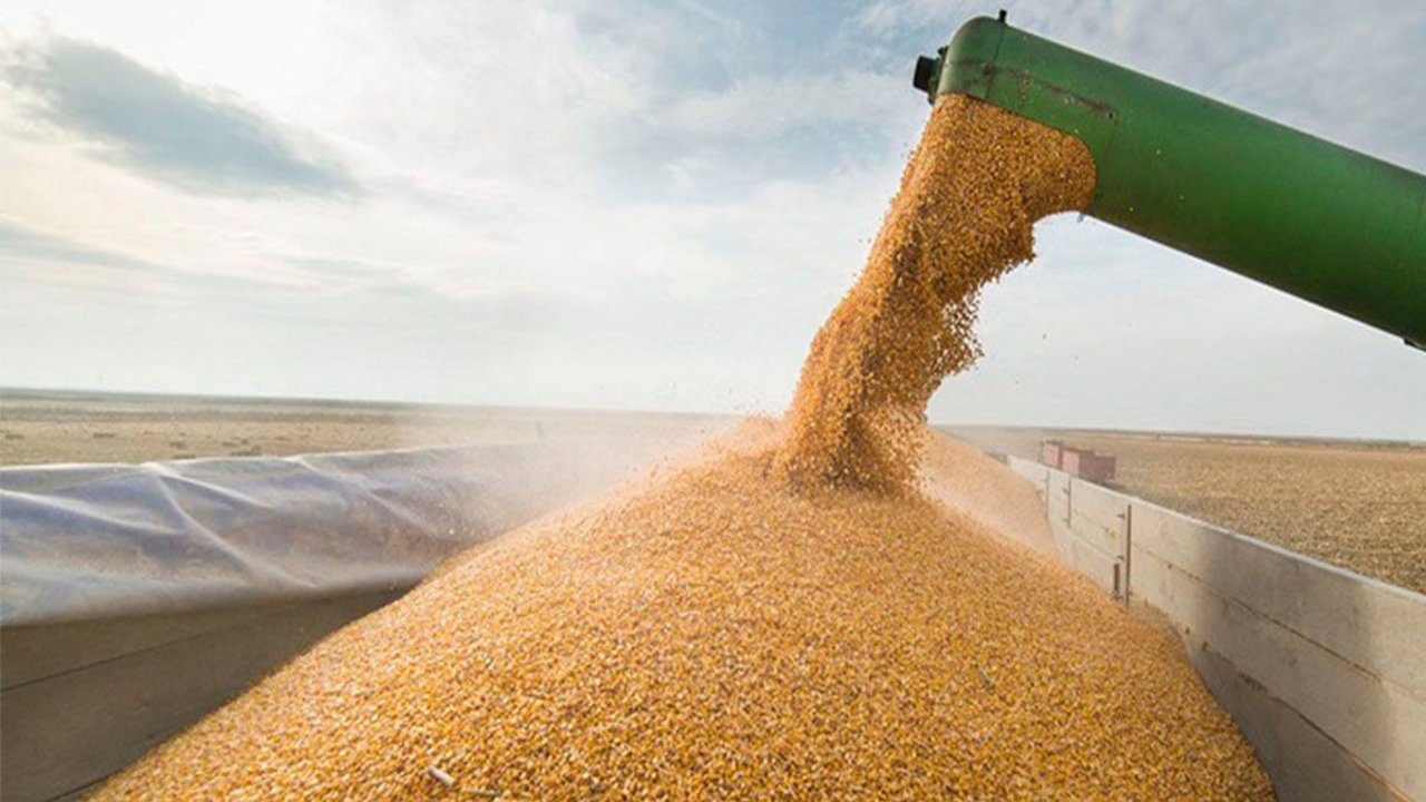 El campo celebra la baja de retenciones: el Gobierno espera que vendan para aumentar reservas