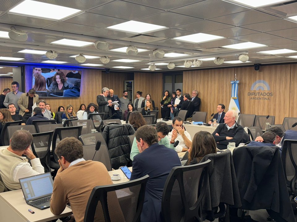 Con ausencias, la comisión $Libra comenzó la investigación recibiendo periodistas y especialistas cripto